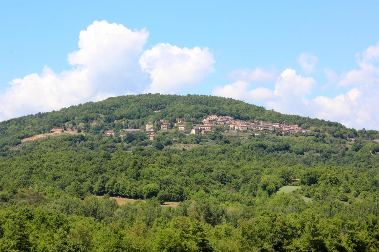 Agriturismo La Via Dell'Oliviera Ciciano Extérieur photo